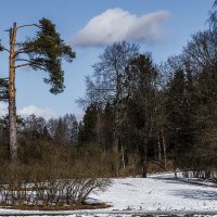 Март, Павловский парк (4) :: Александр 