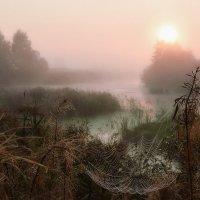 In the realm of cobwebs :: Геннадий Ковалев ,