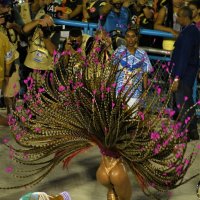 Карнавал в Рио. :: Елена Савчук 