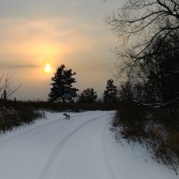 Зимняя дорога. :: Андрей Бойко