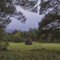 *** :: Володька Завитушкин