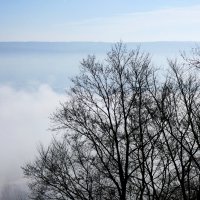 В долине туман ... :: Heinz Thorns