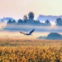 "Лета заключительный аккорд" :: Андрей 