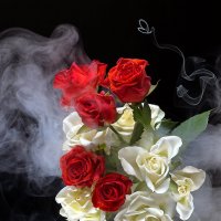 Розы в дыму :: Светлана Л.
