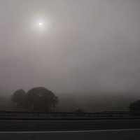 Утренний туман в дороге-2 :: Александр Рябчиков
