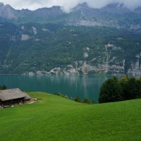 Швей-царские пейзажи ... :: Алёна Савина