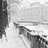 Снегопад в Питере. Канал Грибоедова. :: Григорий Евдокимов