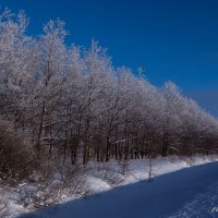 Диагонали :: Эльвира Сагдиева