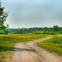 Весна :: Вячеслав Побединский