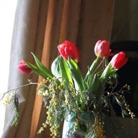 Цветы к 8 марта :: Николай Холопов