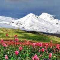 Старый  цветущий Эльбрус(Моя  весенняя хандра) :: Виталий Селиванов 