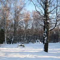 Зимний  пейзаж :: Татьяна Иванова