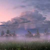 Туман ложился на поле :: Лара Симонова 