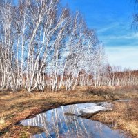 Мартовские отражения :: Владимир 