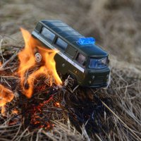 Поджиг сухой травы- причина лесного пожара! :: Aleksandr Ivanov67 Иванов
