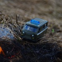 Все на борьбе с лесными пожарами! :: Aleksandr Ivanov67 Иванов
