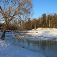 Павловск. Река Славянка :: Наталья Герасимова