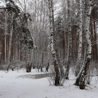 Мартовский снег ... :: Татьяна Котельникова