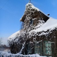 "Зимнее воспоминание..." :: Nikolay Shumilov