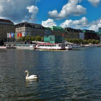 Alster Hamburg :: Nina Yudicheva