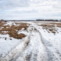 Весна в лугах :: Сергей Михайлович