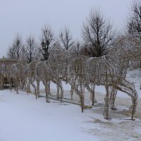 После праздника :: Галина Козлова 