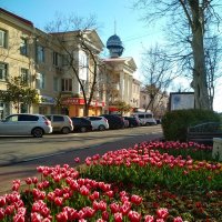 Весна, тюльпаны. :: Алексей Golovchenko
