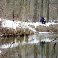 соскучились по открытой воде :: Александр Прокудин