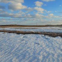 Еще в полях белеет снег :: Светлана 