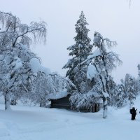 Зима в горах :: Ольга 