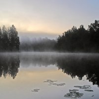 Туманный рассвет на озере Боровно :: Сергей Курников