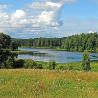 Озеро Савинское :: Сергей Курников