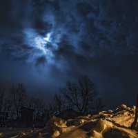 лунной ночью в глуши :: Роман Смолко
