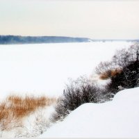 Нева, времена года. январь, очень холодно :: Фотогруппа Весна