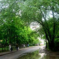 После дождя.. :: Елена Семигина