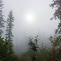 А в тайге по утрам туман... :: Сергей Чиняев 