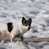 *** :: Владимир Безбородов