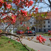 Весна в городе Аугсбург, Бавария... :: Galina Dzubina