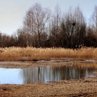 Апрельская акварель :: Нэля Лысенко