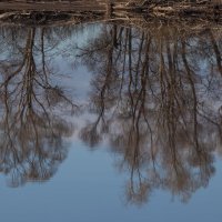 Путешествие под знаком орла.(Нижний - Булгары) :: юрий макаров