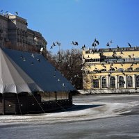 Лёд тронулся на Чистых прудах. :: Татьяна Помогалова