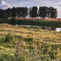 Лето :: Александр Тулупов