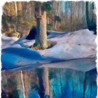 Весенний лес :: Андрей Зайцев
