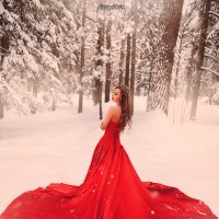 The red Queen :: Ali Nari