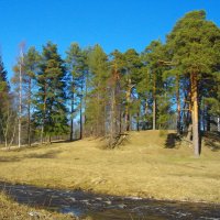 Речка бежит, небо голубое, сосны зелёные - почти лето! :: Лия ☼