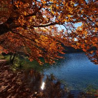 Plitvice :: Marijan Vučić