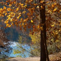 Paty_Plitvice :: Marijan Vučić