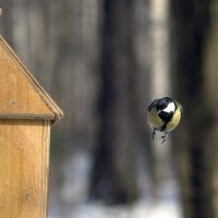 мёртвая точка :: равил митюков