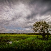 Призрак лета :: Денис Соломахин