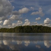 Одно из озер на Карельском перешейке :: Лана Дмитриева